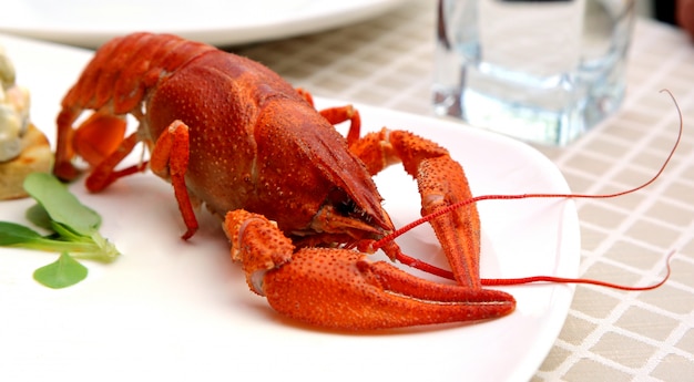 insalata di mare con cancro con gamberi e caviale rosso