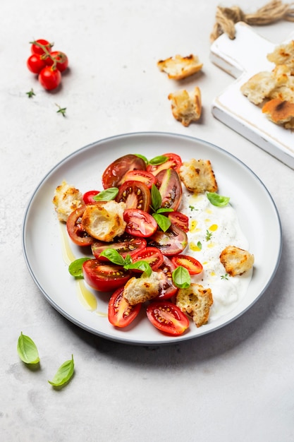 Insalata di pomodori, stracciatella, ciabatta e basilico su fondo chiaro