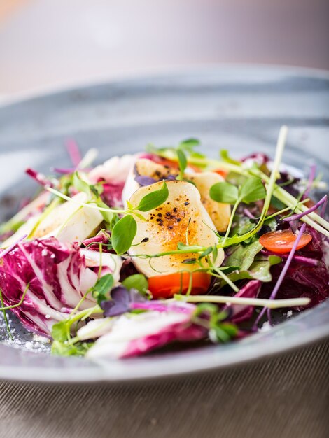 Insalata di verdure con formaggio di capra e decorazione alle erbe.