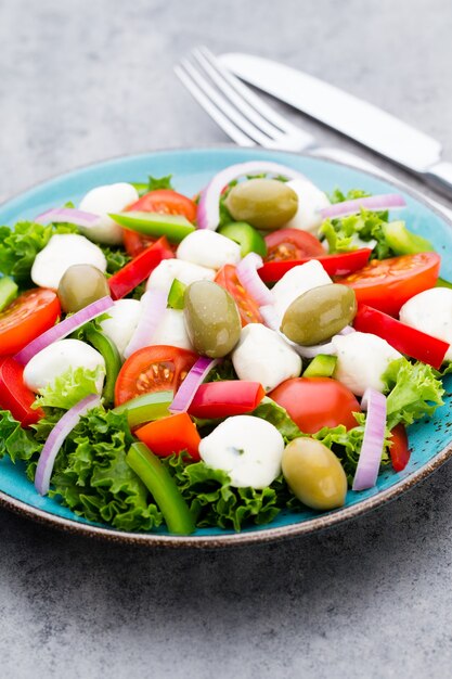 Insalata di verdure fresche. caprese. Insalata caprese. Insalata italiana. Insalata mediterranea. Cucina italiana.