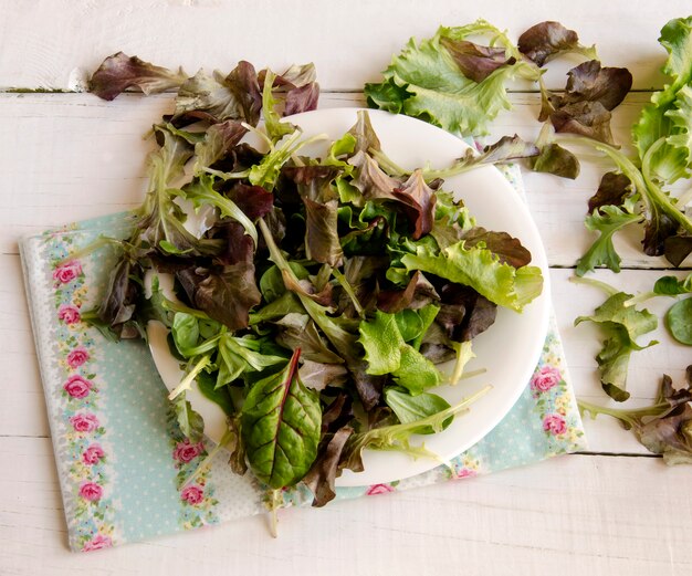 Insalata fresca con verdure