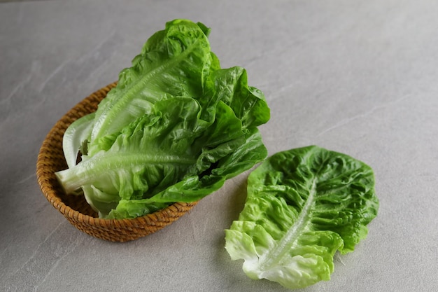 Insalata fresca di Letucce isolata su sfondo grigio