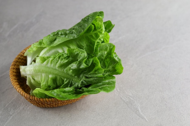 Insalata fresca di Letucce isolata su sfondo grigio