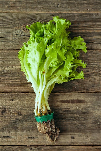 Insalata fresca verde in cono di cialda su tavola di legno concetto di spuntino sano fotografia e contenuto per