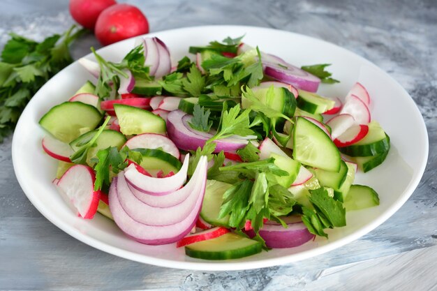 insalata mista con cetriolo ravanello e cipolla su piatto bianco sullo sfondo di cemento