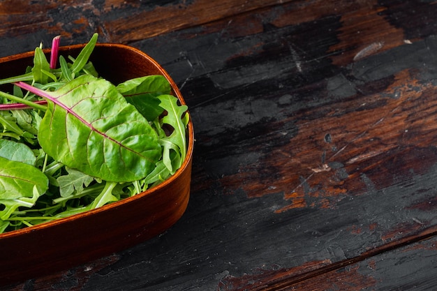 Insalata sana, insalata mista di foglie Rucola, set di bietole, su un vecchio sfondo di tavolo in legno scuro, con spazio di copia per il testo