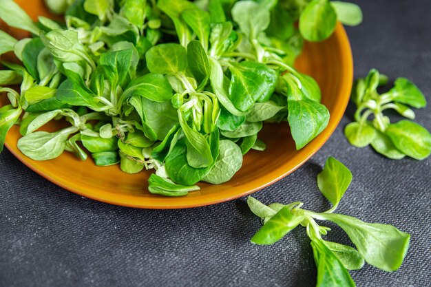 insalata verde foglie di mache fagioli mung lattuga fresco pasto sano cibo spuntino dieta sul tavolo