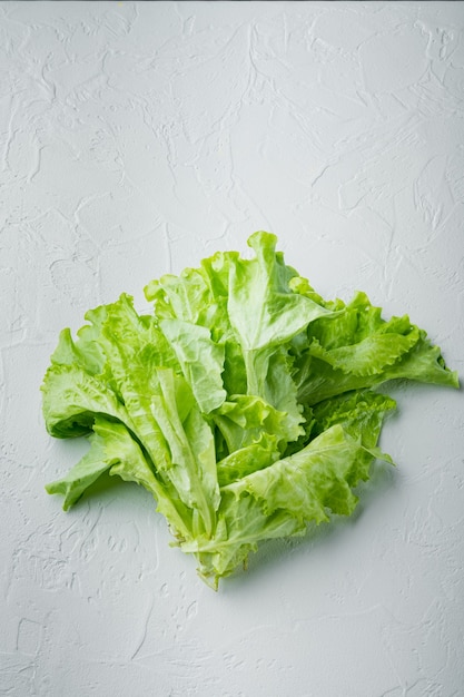 Insalata verde foglie fresche di lattuga, sul tavolo bianco