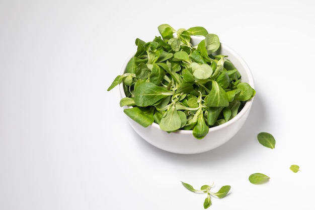 Insalata verde fresca isolata su bianco