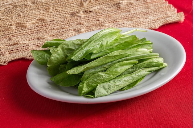 insalata verde fresca rucola fresca