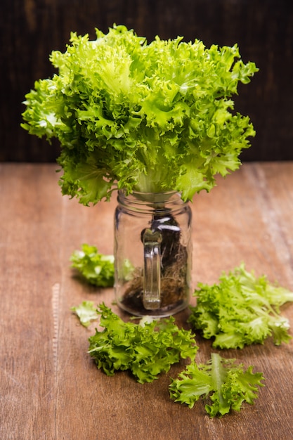 Insalata verde fresca