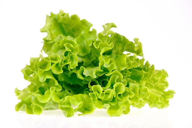 Insalata verde isolata su uno spazio bianco