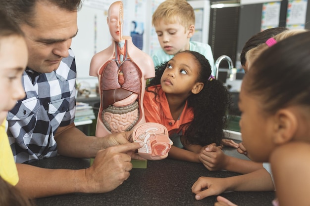 Insegnante che mostra ai suoi ragazzi della scuola una parte del cervello di uno scheletro fittizio mentre lo stanno guardando in c