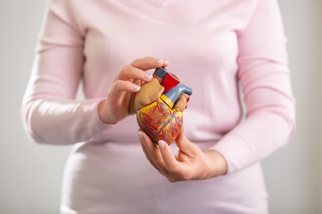 Insegnante di biologia. Messa a fuoco selettiva di un modello di cuore umano nelle mani di un insegnante di biologia professionista