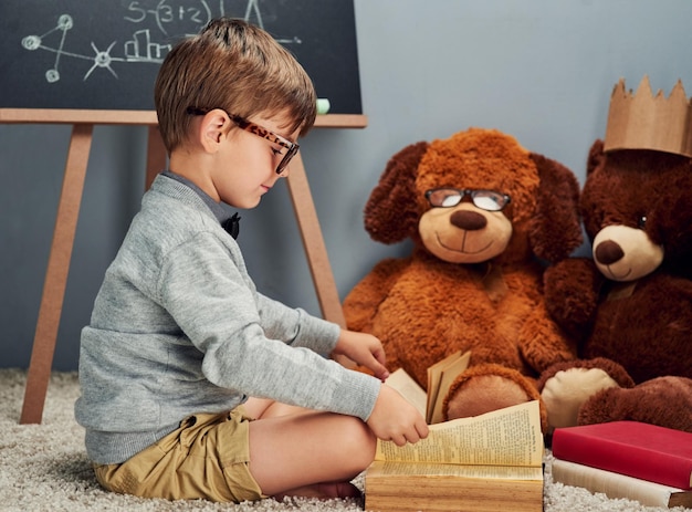 Insegnante in formazione Foto in studio di un ragazzino intelligente che legge un libro ai suoi orsacchiotti su uno sfondo grigio