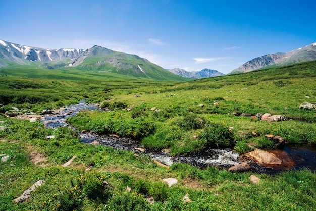 Insenatura della montagna in valle verde fra ricca vegetazione dell'altopiano nel giorno soleggiato.