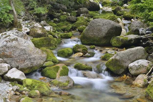 Insenatura in Valle Pesio