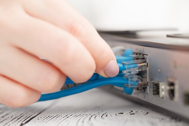 insert network patch cord in lan commutator switch