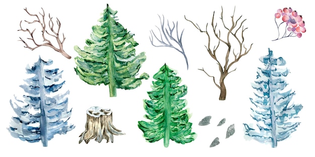 Insieme dell'illustrazione dell'acquerello degli alberi di Natale isolati su priorità bassa bianca