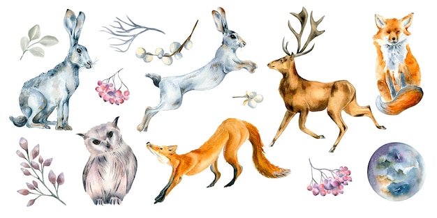 Insieme dell'illustrazione dell'acquerello di animali selvatici e piante forestali isolata su bianco