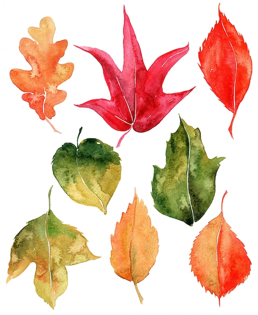 Insieme delle foglie di autunno dell'acquerello.