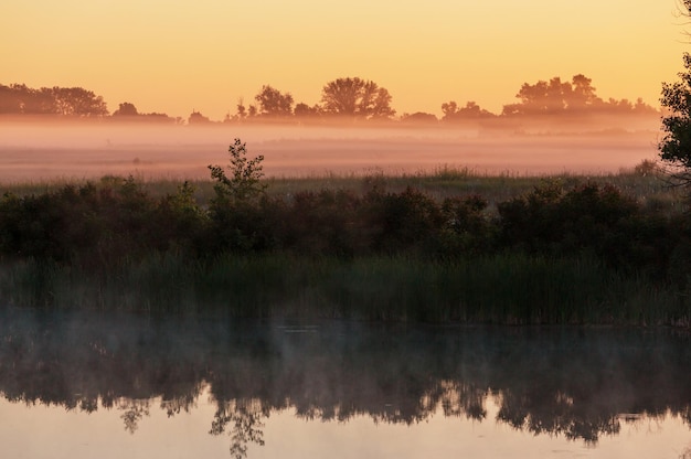 Insolita nebbia del fiume nella stagione estiva