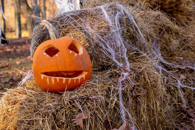 Installazione di una zucca 'Jack o'Lantern' e ragnatele su un campo nel fieno il giorno di Halloween