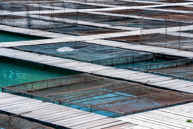 Installazioni di acquacoltura tra passerelle in legno in un primo piano di un allevamento ittico d'acqua dolce