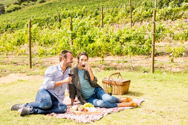 Integrale delle coppie che mangiano vino alla vigna