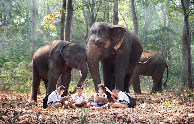 Integrale Di Scolari In Piedi Da Elefante Nella Foresta