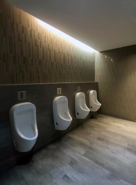 interior design della toilette in piedi