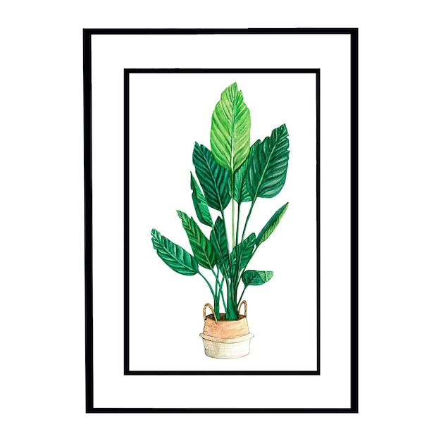 Interior painting Home plant Illustrazione dell'acquerello interno del soggiorno con divano cuscini arredamento Clipart Home decor elementi su sfondo bianco