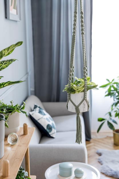 Interni boho eleganti e minimalisti del soggiorno con ripiano in legno, divano grigio, design e accessori eleganti, appendiabiti per fioriera in macramè fatto a mano. Botanica e decorazioni per la casa con molte piante.