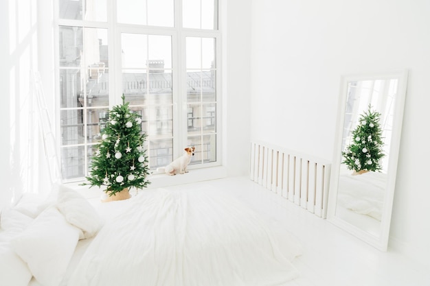Interni di Capodanno Spaziosa camera da letto bianca con letto decorato albero di Natale specchio e cane jack russell terrier sul davanzale Pet attende Babbo Natale