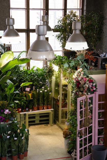 Interno del negozio di piante con diverse piante d'appartamento in vaso pronte per la vendita sugli scaffali della spesa
