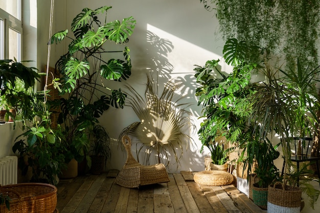 Interno della casa accogliente con piante monstera verdi fresche