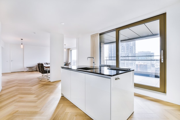 Interno della cucina moderna in stile minimal con bancone a isola e lavello in appartamento contemporaneo