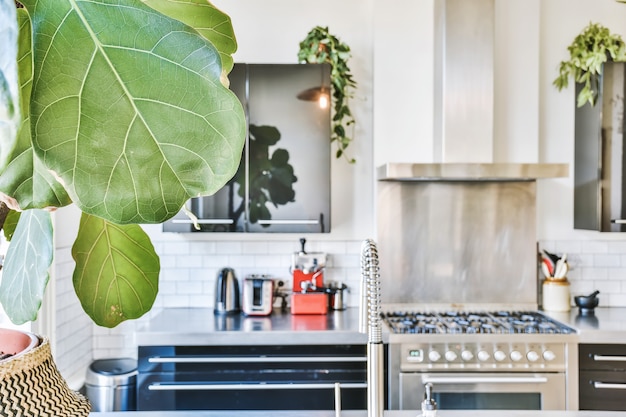 Interno di una bella cucina di una casa d'élite