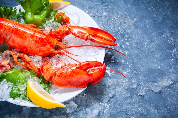 Intero aragosta rossa con pomodoro e fette di limone sul piatto bianco