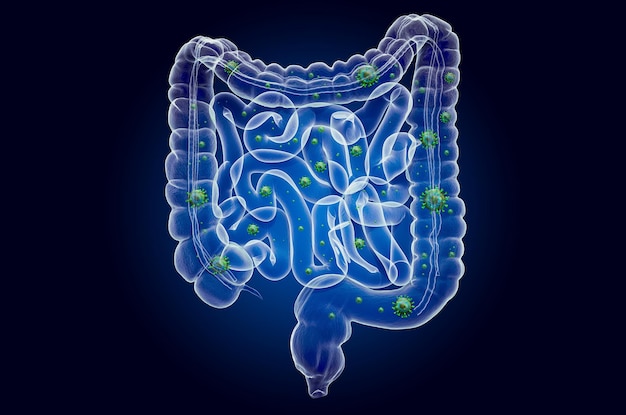 Intestino umano con rendering 3D dell'ologramma a raggi x effetto luce fantasma del virus