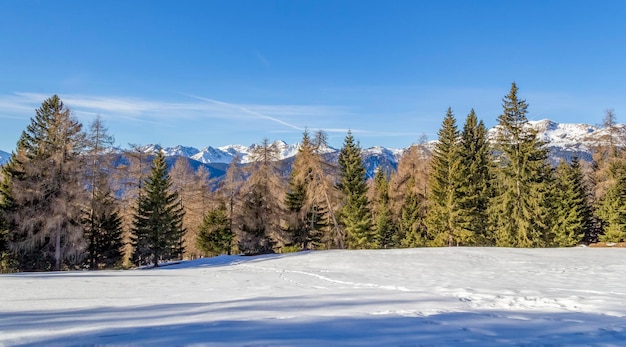 Intorno a Felixer Weiher