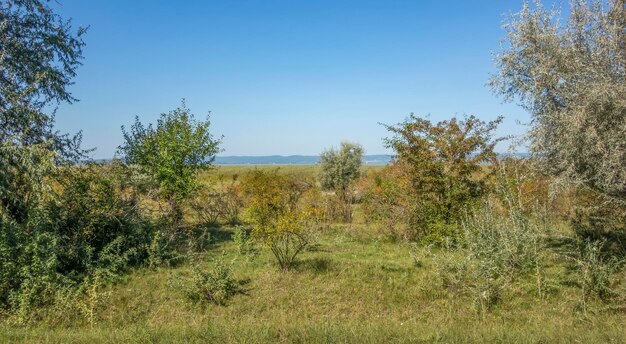 Intorno a Podersdorf am See