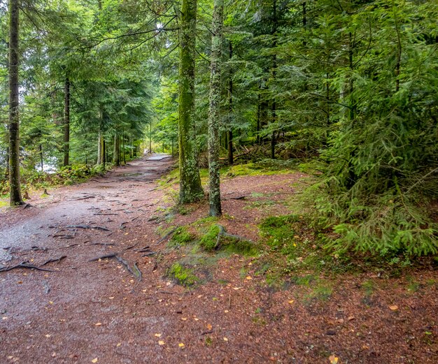 intorno al lago di Gerardmer in Francia