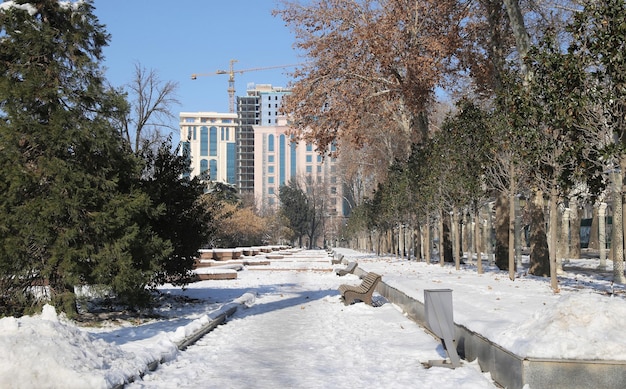 inverno a Dushanbe, le strade nevicate