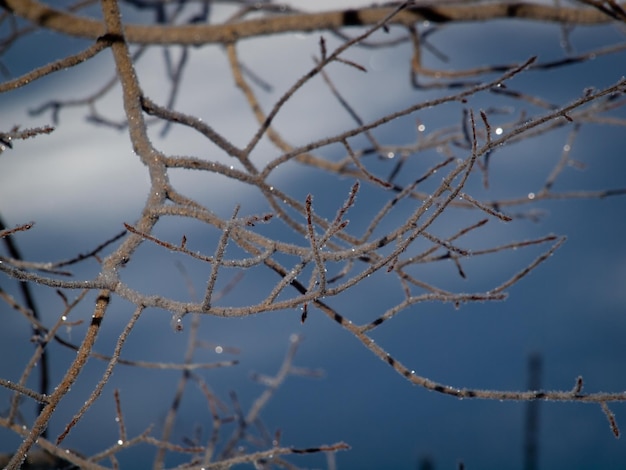 Inverno a San Juan Mountains, Colorado.