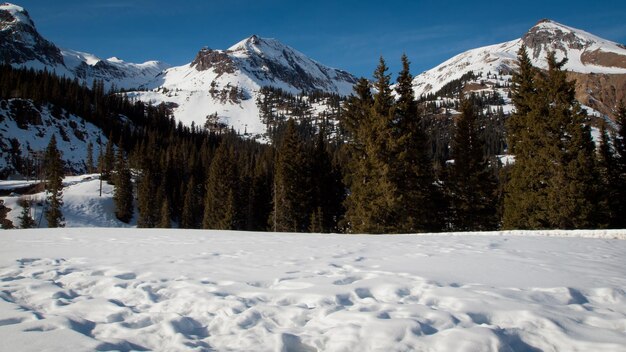 Inverno a San Juan Mountains, Colorado.