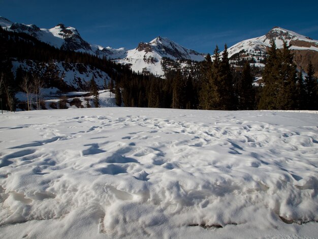 Inverno a San Juan Mountains, Colorado.