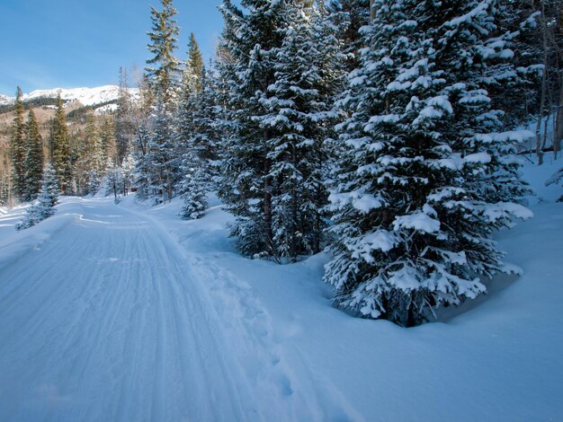 Inverno a San Juan Mountains, Colorado.