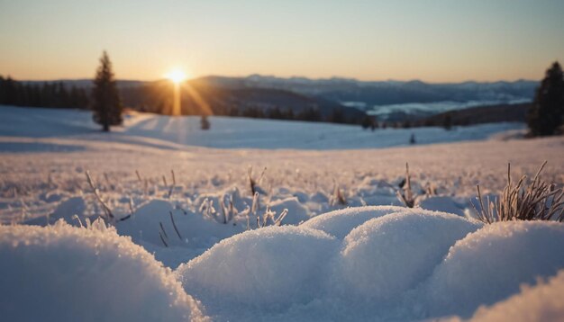 Inverno all'aperto scena di neve bianca bellissimo paesaggio carta da parati sfondo fotografia lavoro sulla neve