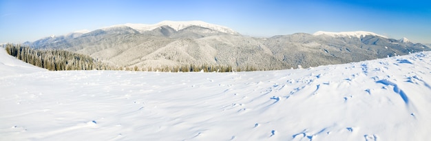 Inverno calmo paesaggio di montagna con brina e abeti innevati. Immagine del punto di tre colpi.